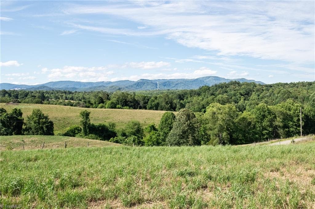 Unimproved Land at 1779 Round Hill Church Road, Traphill NC 28685, photo 15 of 49