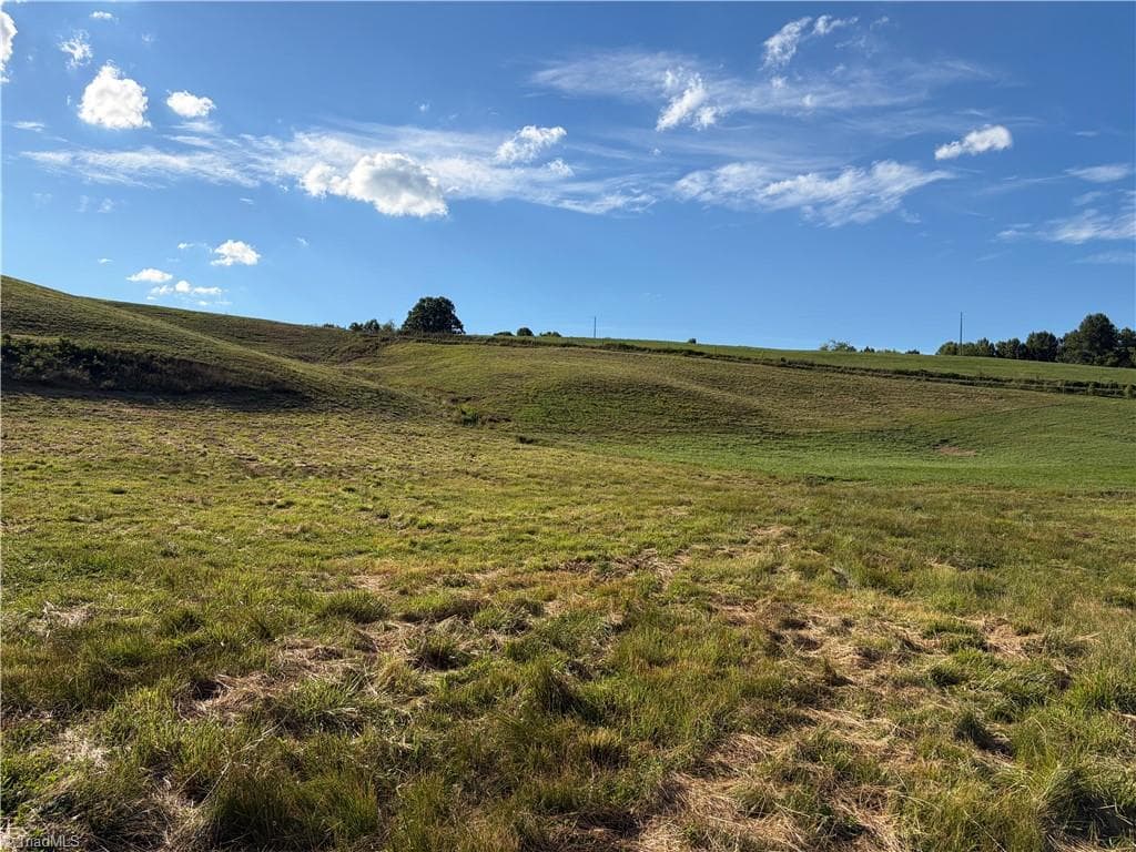 Unimproved Land at 1779 Round Hill Church Road, Traphill NC 28685, photo 35 of 49