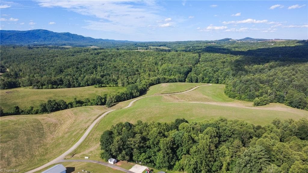 Unimproved Land at 1779 Round Hill Church Road, Traphill NC 28685, photo 8 of 49