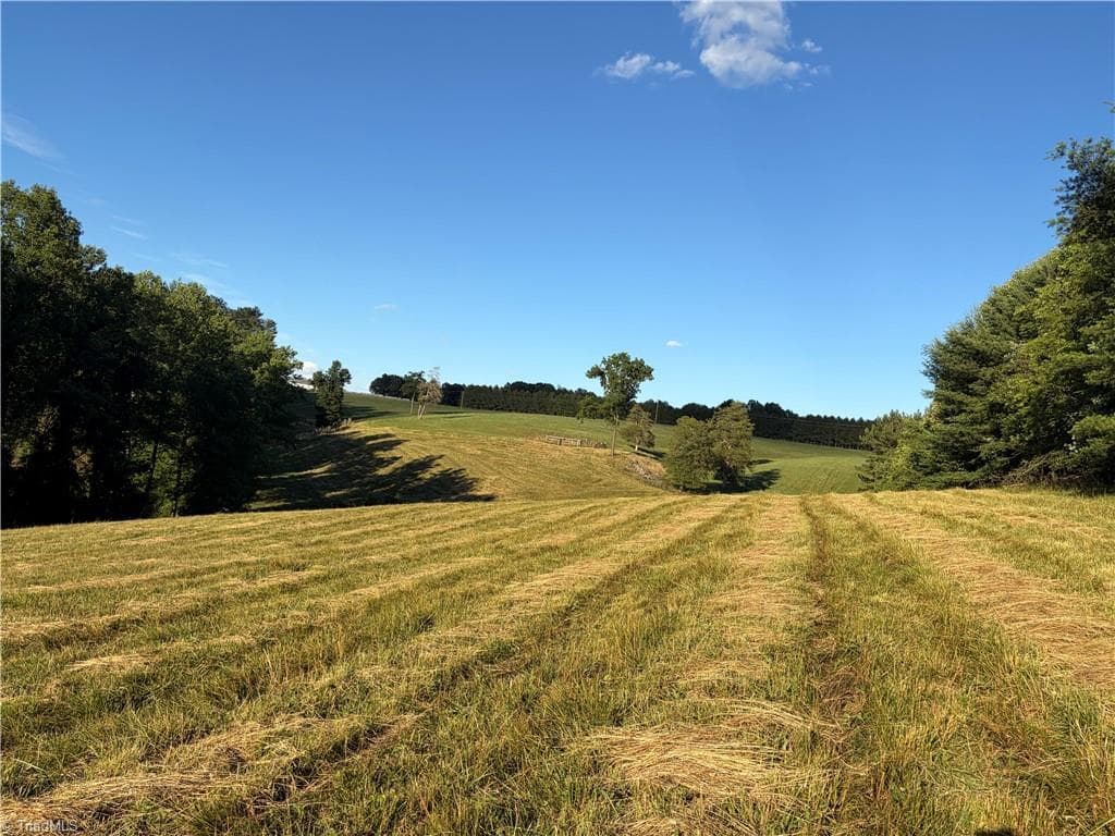 Unimproved Land at 1779 Round Hill Church Road, Traphill NC 28685, photo 21 of 49
