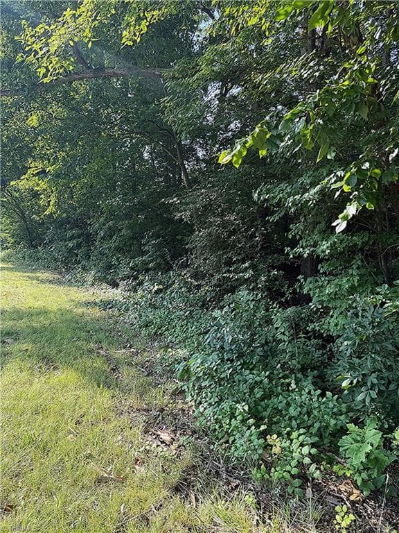00 US Highway 64 W, Trinity NC 27370