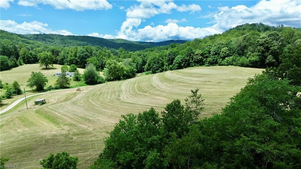 Stick/Site Built at 198 Captain Day Road, Ronda NC 28670, photo 9 of 28