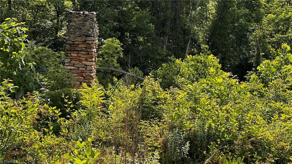 Unimproved Land at TBD Hose Road, Moravian Falls NC 28654, photo 6 of 20