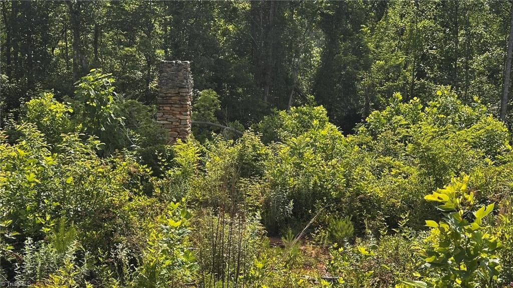 Unimproved Land at TBD Hose Road, Moravian Falls NC 28654, photo 17 of 20