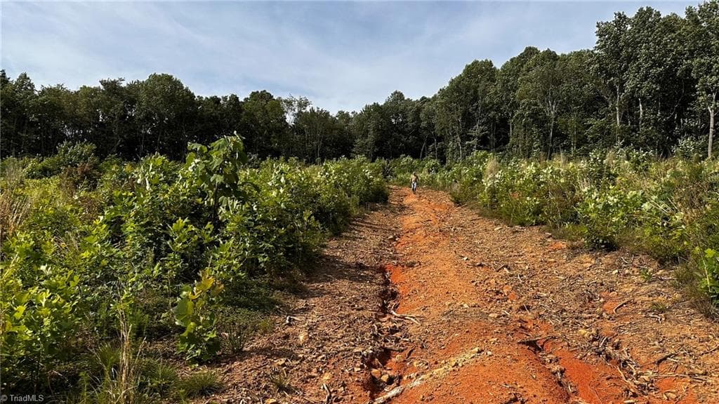 Unimproved Land at TBD Hose Road, Moravian Falls NC 28654, photo 12 of 20