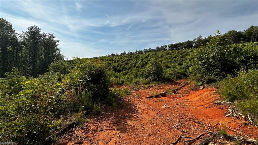 Unimproved Land at TBD Hose Road, Moravian Falls NC 28654, photo 7 of 20