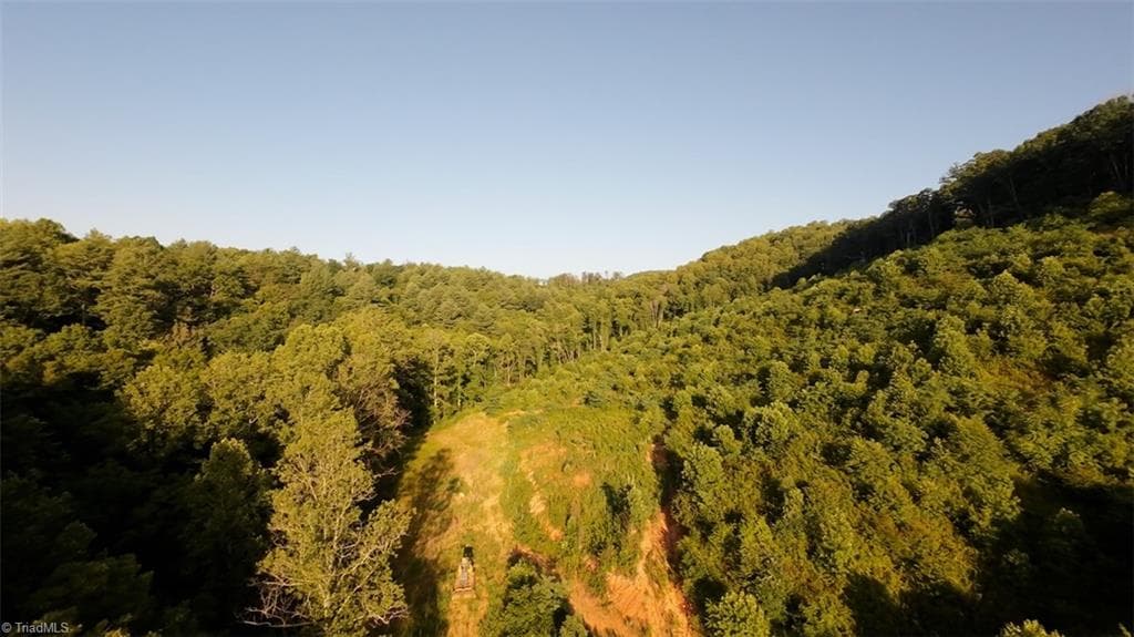 Unimproved Land at TBD Hose Road, Moravian Falls NC 28654, photo 5 of 20