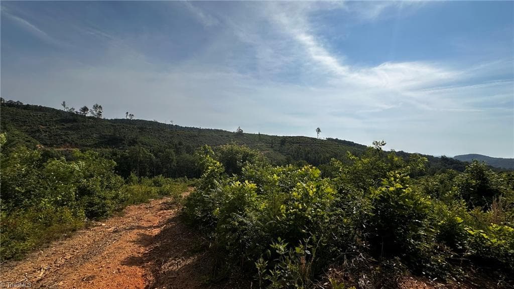 Unimproved Land at TBD Hose Road, Moravian Falls NC 28654, photo 10 of 20