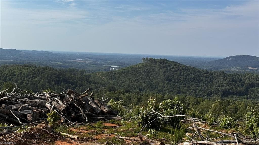Unimproved Land at TBD Hose Road, Moravian Falls NC 28654, photo 14 of 20