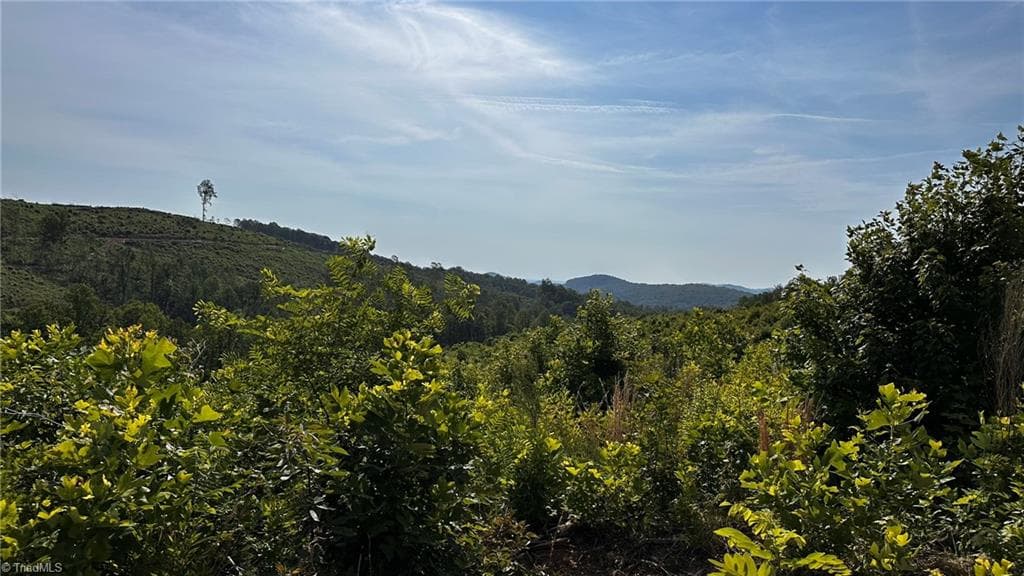 Unimproved Land at TBD Hose Road, Moravian Falls NC 28654, photo 18 of 20