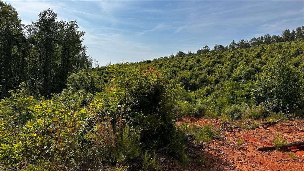 Unimproved Land at TBD Hose Road, Moravian Falls NC 28654, photo 11 of 20