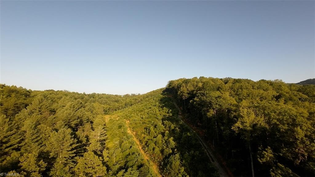 Unimproved Land at TBD Hose Road, Moravian Falls NC 28654, photo 19 of 20