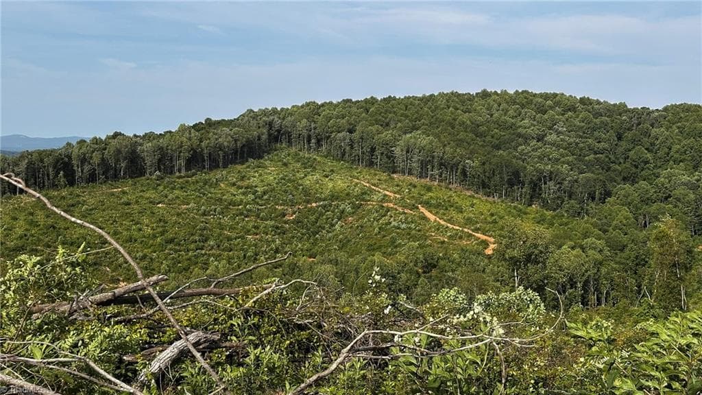 Unimproved Land at TBD Hose Road, Moravian Falls NC 28654, photo 4 of 20