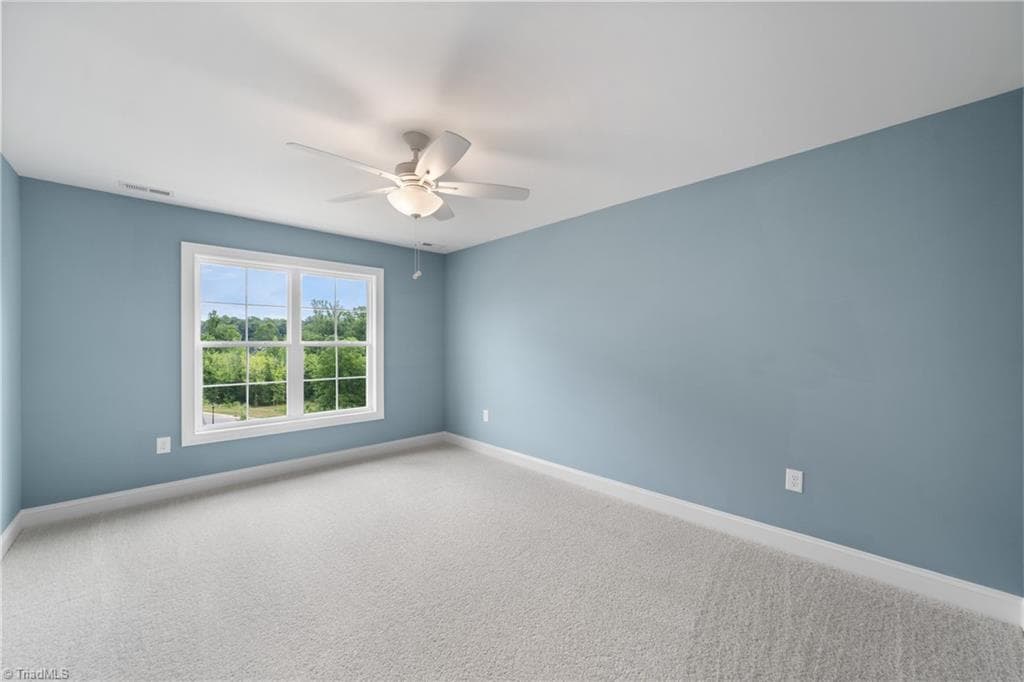 Upper Level: Bedroom 3 - 8906 Maltese Court, Lewisville NC 27023, Lewisville