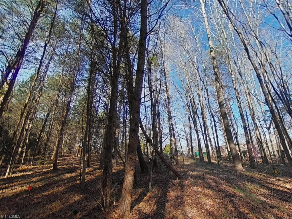 Agriculture at 0 Eden Road, Stoneville NC 27048, photo 13 of 14