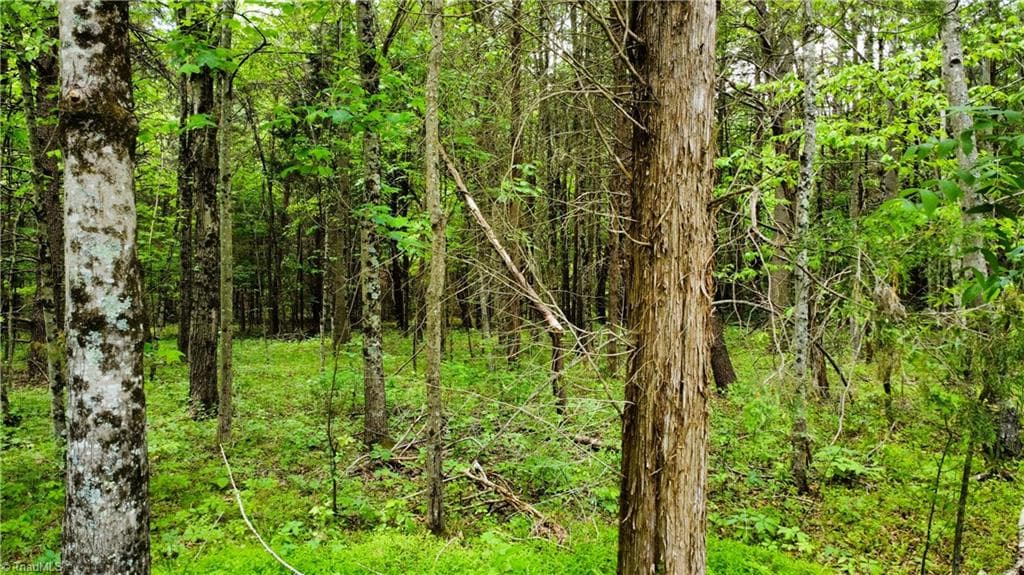 Agriculture at 0 Eden Road, Stoneville NC 27048, photo 10 of 14