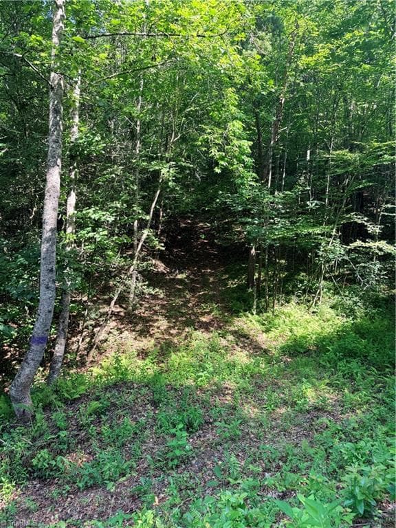 Single Family Residence at Lot 23 Green Pasture Lane, Ferguson NC 28624, photo 23 of 32