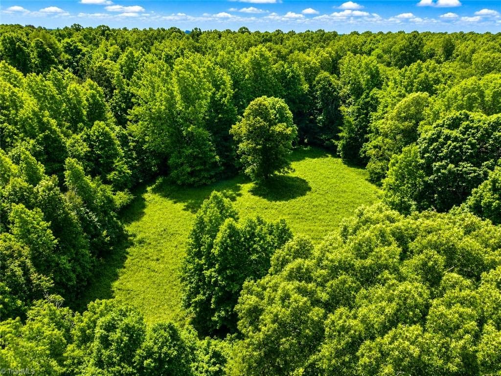 Unimproved Land at 0 Rich Hilton Road, Thomasville NC 27360, Thomasville, photo 16 of 24