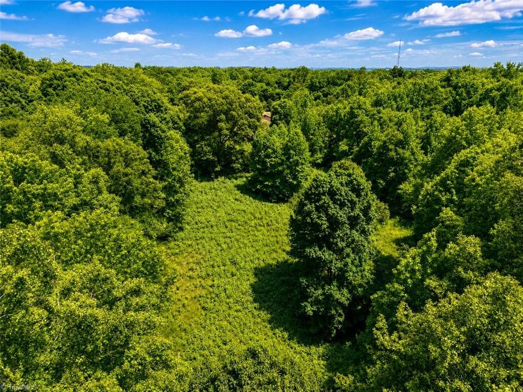 Unimproved Land at 0 Rich Hilton Road, Thomasville NC 27360, Thomasville, photo 14 of 24