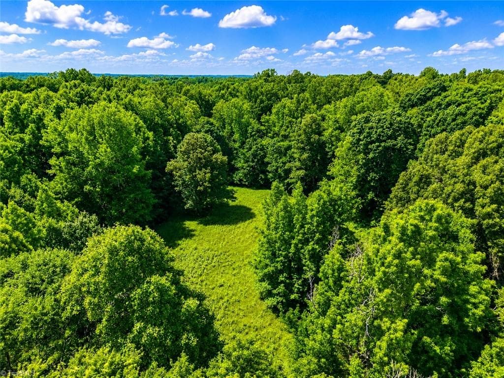 Unimproved Land at 0 Rich Hilton Road, Thomasville NC 27360, Thomasville, photo 15 of 24