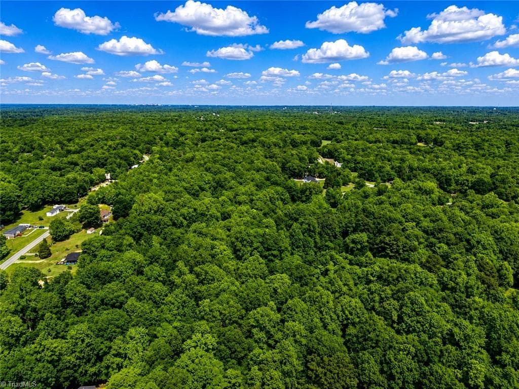 Unimproved Land at 0 Rich Hilton Road, Thomasville NC 27360, Thomasville, photo 8 of 24