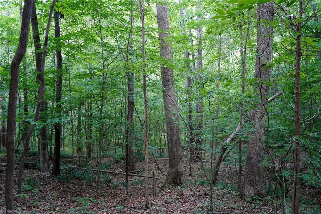 Unimproved Land at 220 Austin Lane, Stokesdale NC 27357, photo 6 of 12