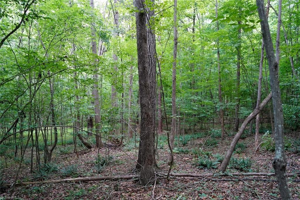 Unimproved Land at 220 Austin Lane, Stokesdale NC 27357, photo 3 of 12