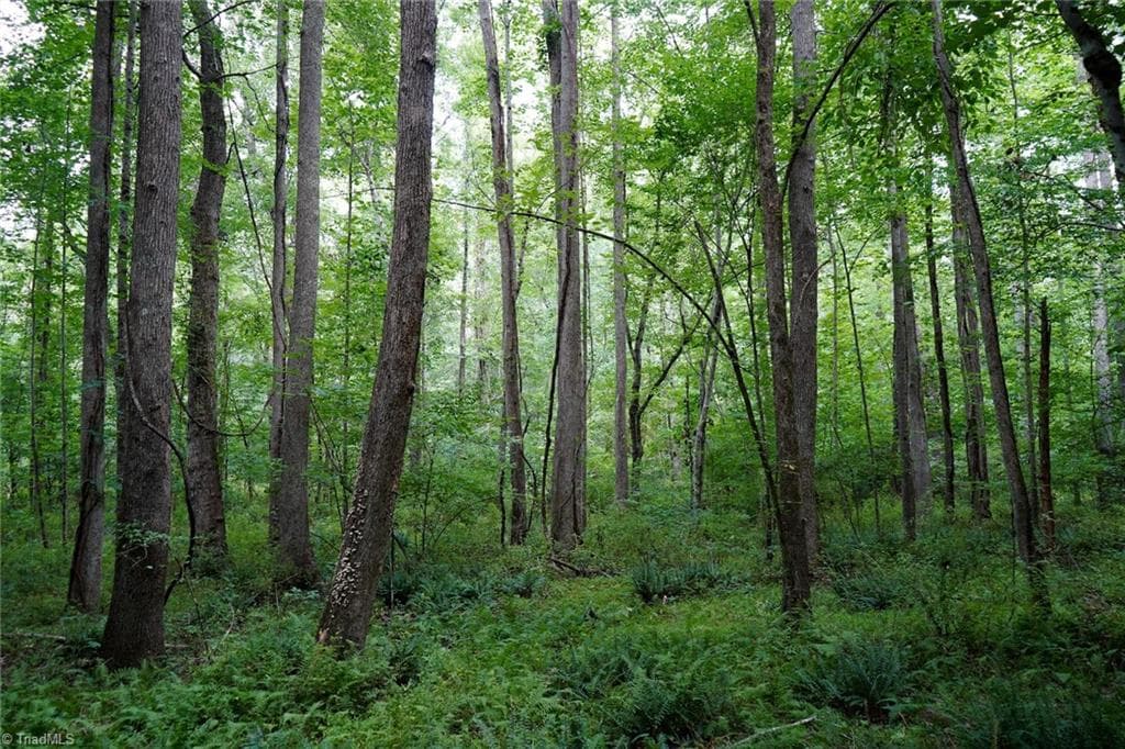 Unimproved Land at 220 Austin Lane, Stokesdale NC 27357, photo 5 of 12