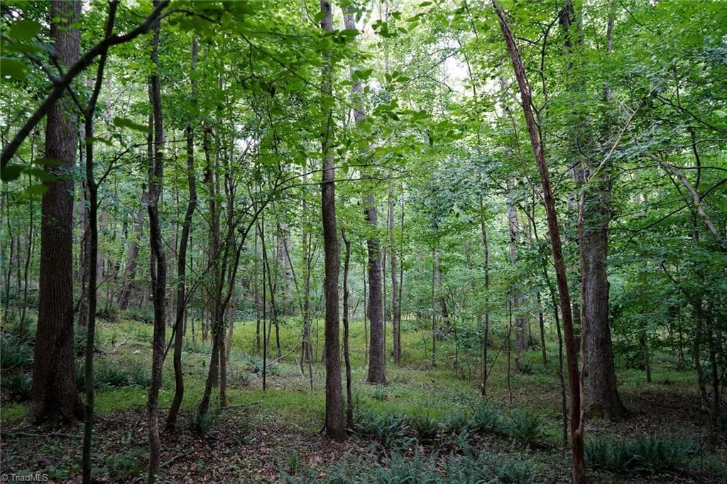 Unimproved Land at 220 Austin Lane, Stokesdale NC 27357, photo 4 of 12