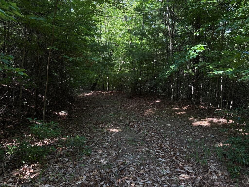 Single Family Residence at Lots 171 & 172B Blue Rock Road, Purlear NC 28665, Purlear, photo 17 of 43