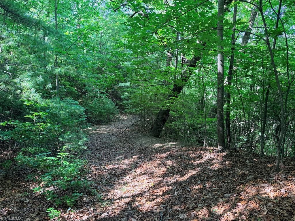 Single Family Residence at Lots 171 & 172B Blue Rock Road, Purlear NC 28665, Purlear, photo 12 of 43
