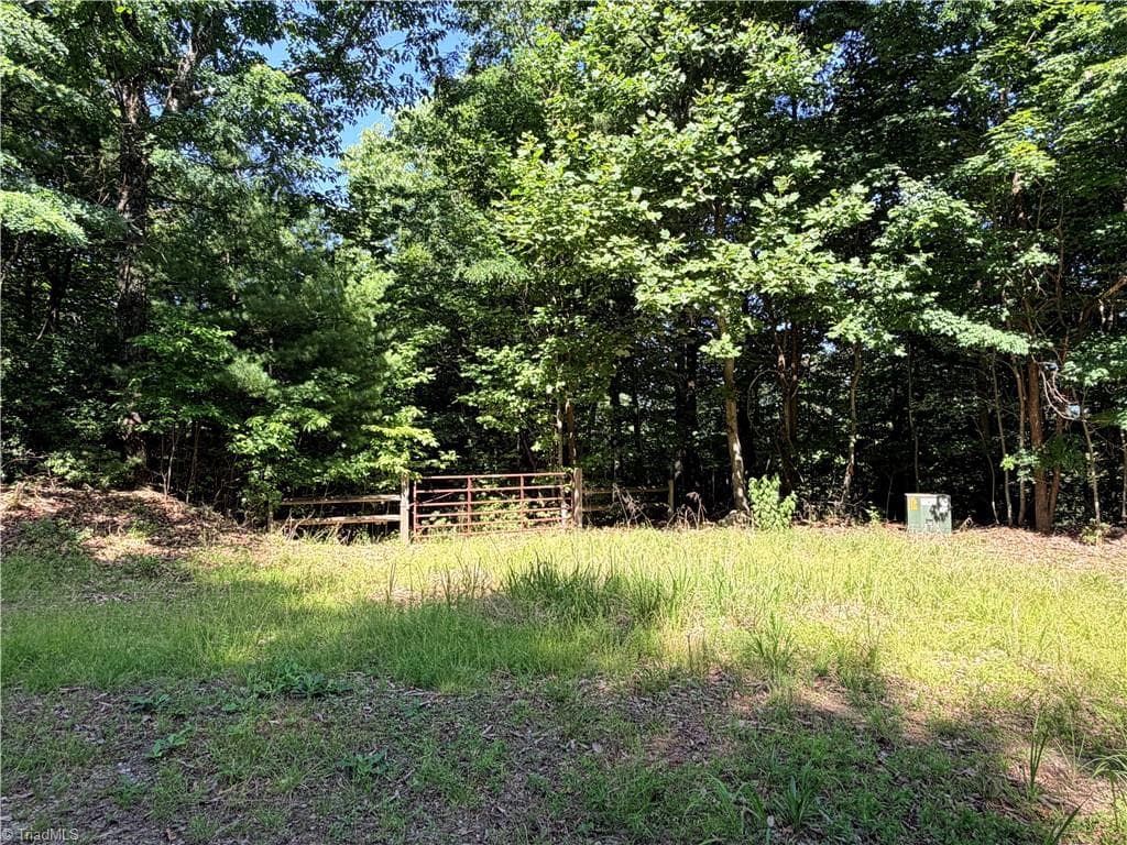 Lots 171 & 172B Blue Rock Road, Purlear NC 28665