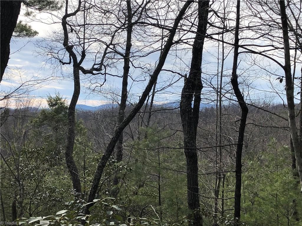 Single Family Residence at Lots 171 & 172B Blue Rock Road, Purlear NC 28665, Purlear, photo 5 of 43