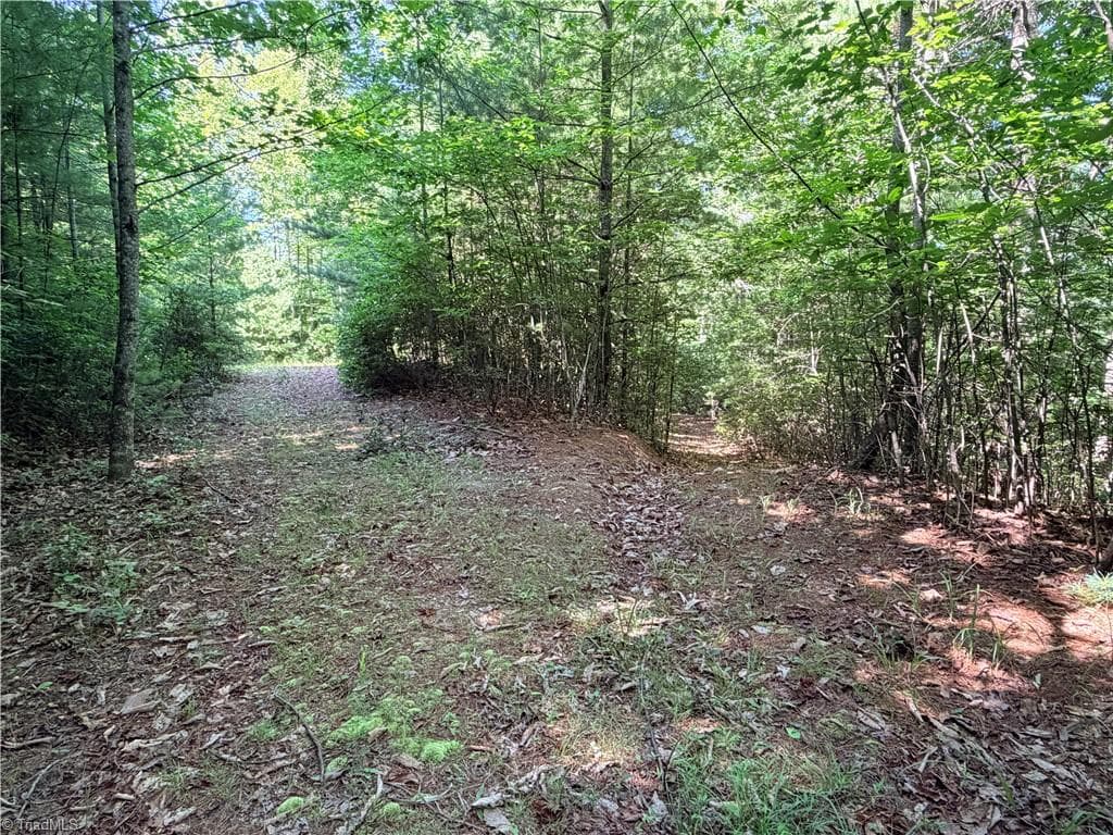 Single Family Residence at Lots 171 & 172B Blue Rock Road, Purlear NC 28665, Purlear, photo 10 of 43