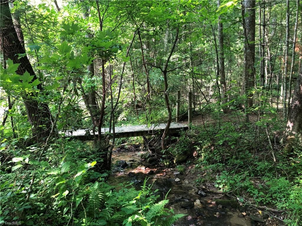Single Family Residence at Lots 171 & 172B Blue Rock Road, Purlear NC 28665, Purlear, photo 37 of 43
