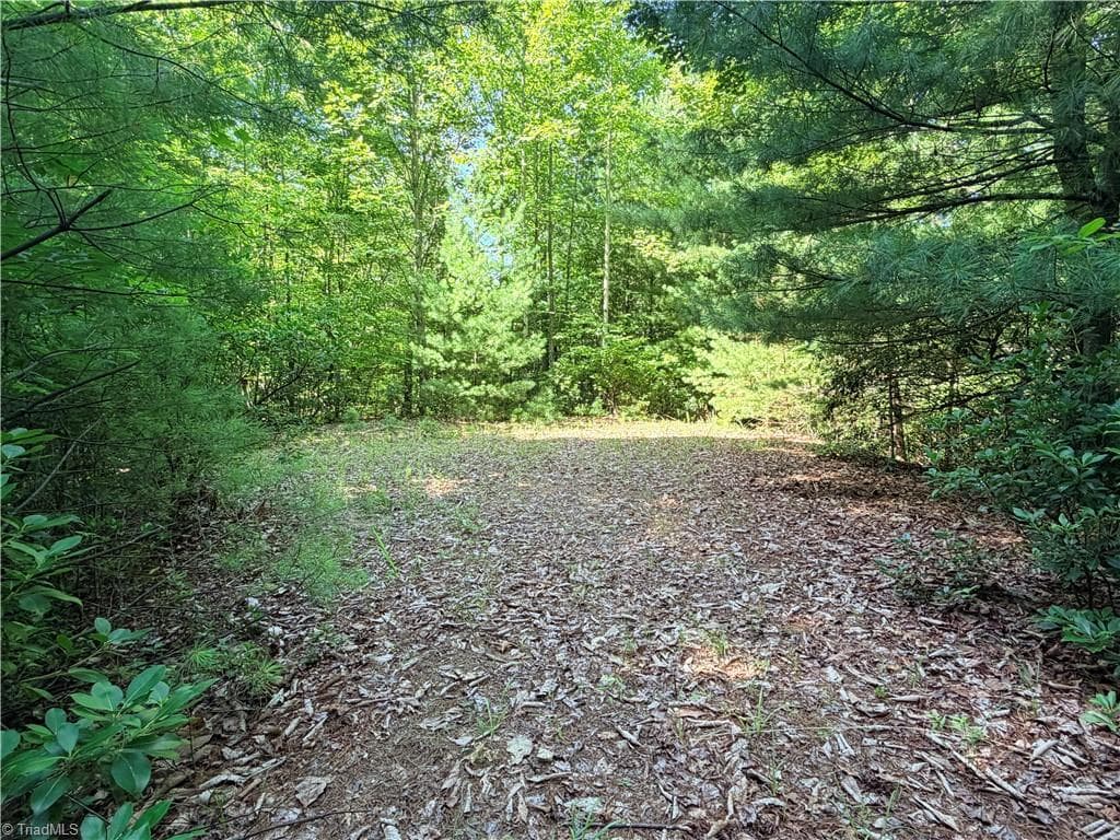 Single Family Residence at Lots 171 & 172B Blue Rock Road, Purlear NC 28665, Purlear, photo 19 of 43