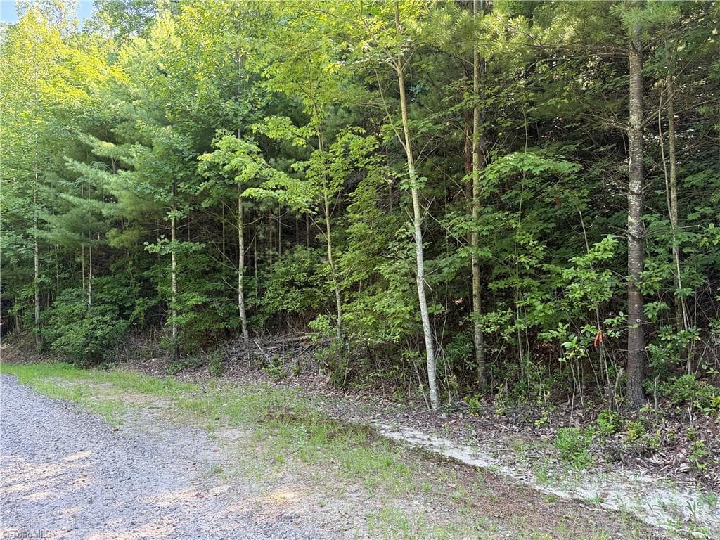Single Family Residence at Lots 171 & 172B Blue Rock Road, Purlear NC 28665, Purlear, photo 21 of 43