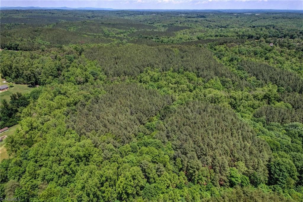 Unimproved Land at 00 Garrett Road, Stoneville NC 27048, photo 7 of 15