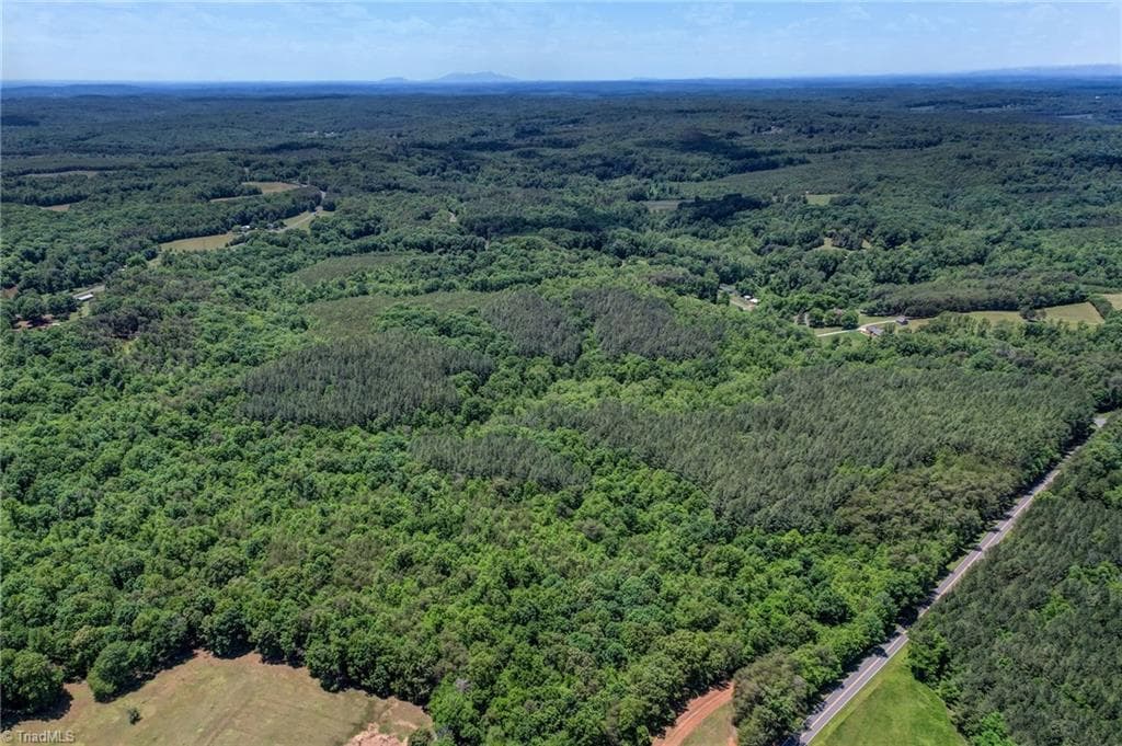 Unimproved Land at 00 Garrett Road, Stoneville NC 27048, photo 3 of 15