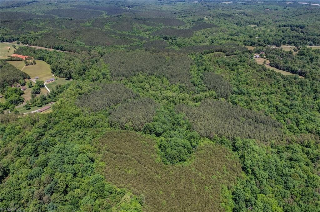 Unimproved Land at 00 Garrett Road, Stoneville NC 27048, photo 5 of 15