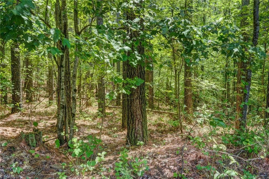 Unimproved Land at 00 Garrett Road, Stoneville NC 27048, photo 9 of 15