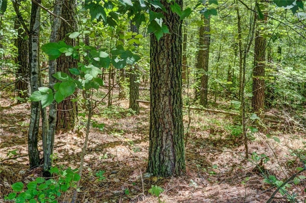 Unimproved Land at 00 Garrett Road, Stoneville NC 27048, photo 10 of 15