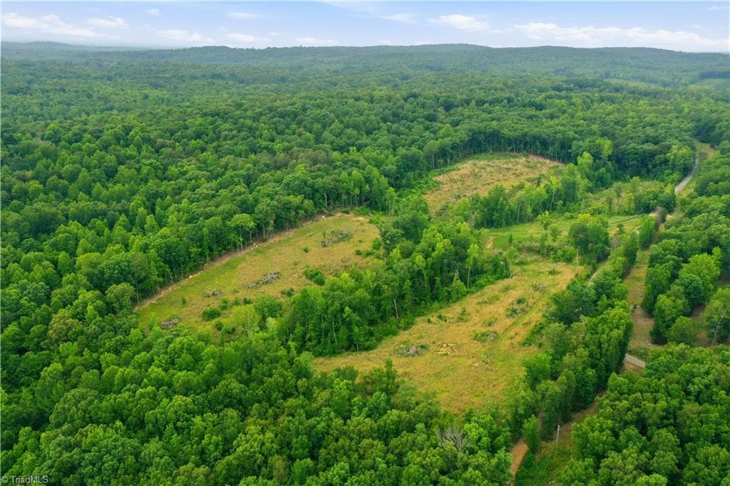 Unimproved Land at 00 Cane Creek Road, Snow Camp NC 27349, photo 2 of 17
