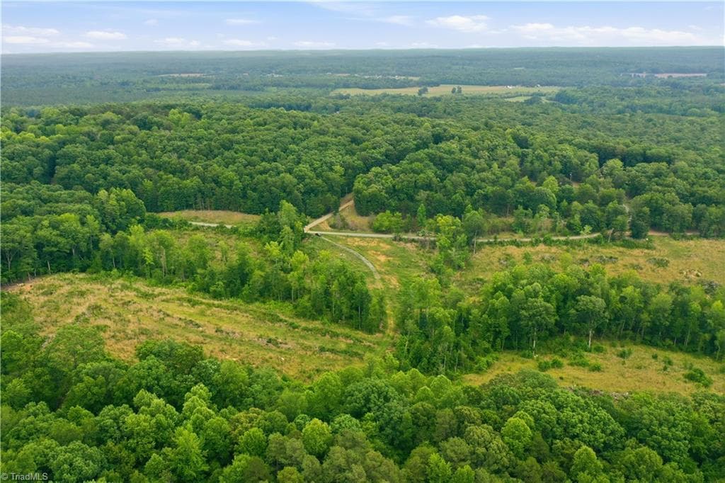Unimproved Land at 00 Cane Creek Road, Snow Camp NC 27349, photo 6 of 17