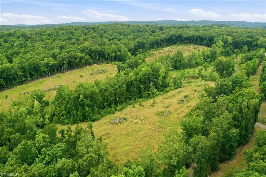 Unimproved Land at 00 Cane Creek Road, Snow Camp NC 27349, photo 17 of 17