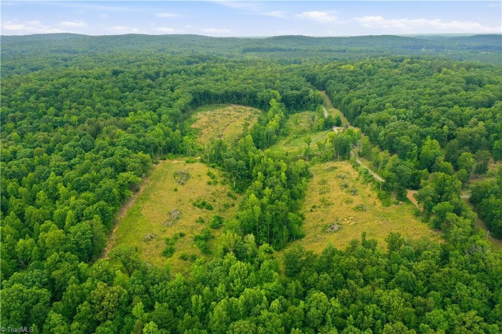 Unimproved Land at 00 Cane Creek Road, Snow Camp NC 27349, photo 3 of 17