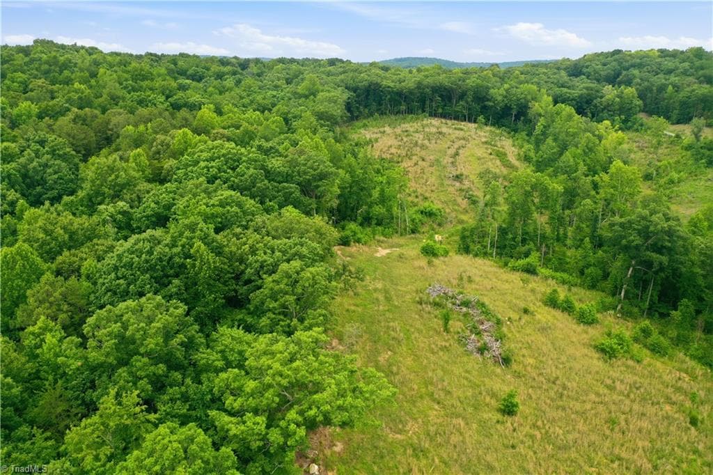 Unimproved Land at 00 Cane Creek Road, Snow Camp NC 27349, photo 14 of 17