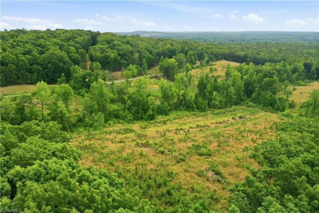 Unimproved Land at 00 Cane Creek Road, Snow Camp NC 27349, photo 15 of 17
