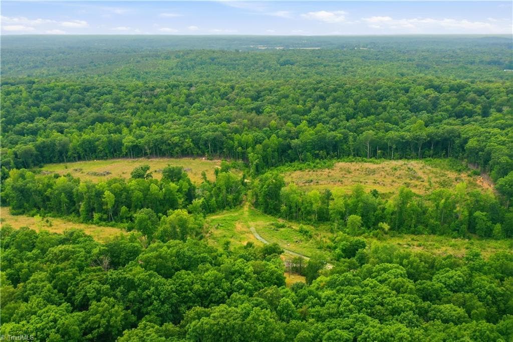 Unimproved Land at 00 Cane Creek Road, Snow Camp NC 27349, photo 11 of 17