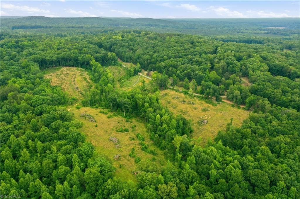 Unimproved Land at 00 Cane Creek Road, Snow Camp NC 27349, photo 4 of 17